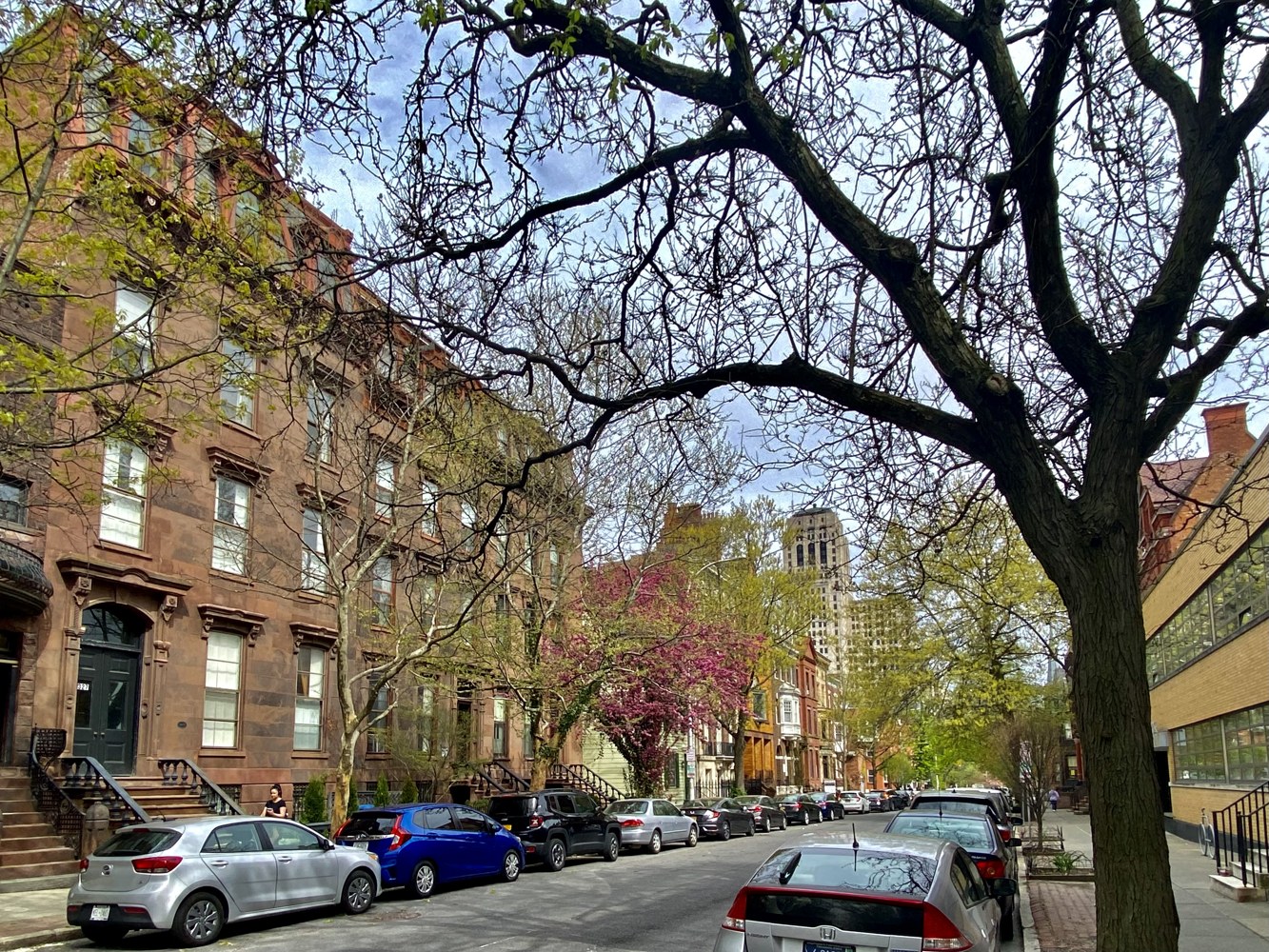 Historic residential and commercial streetscape in Albany